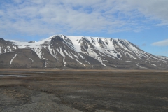 Svalbard 2009 024