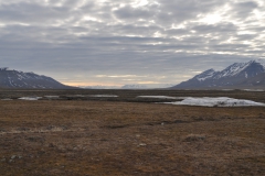 Svalbard 2009 056