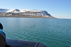 Svalbard 2009 068