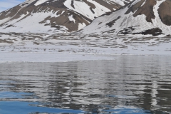 Svalbard 2009 098