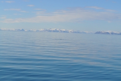 Svalbard 2009 184