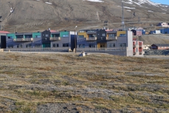 Svalbard 2009 293